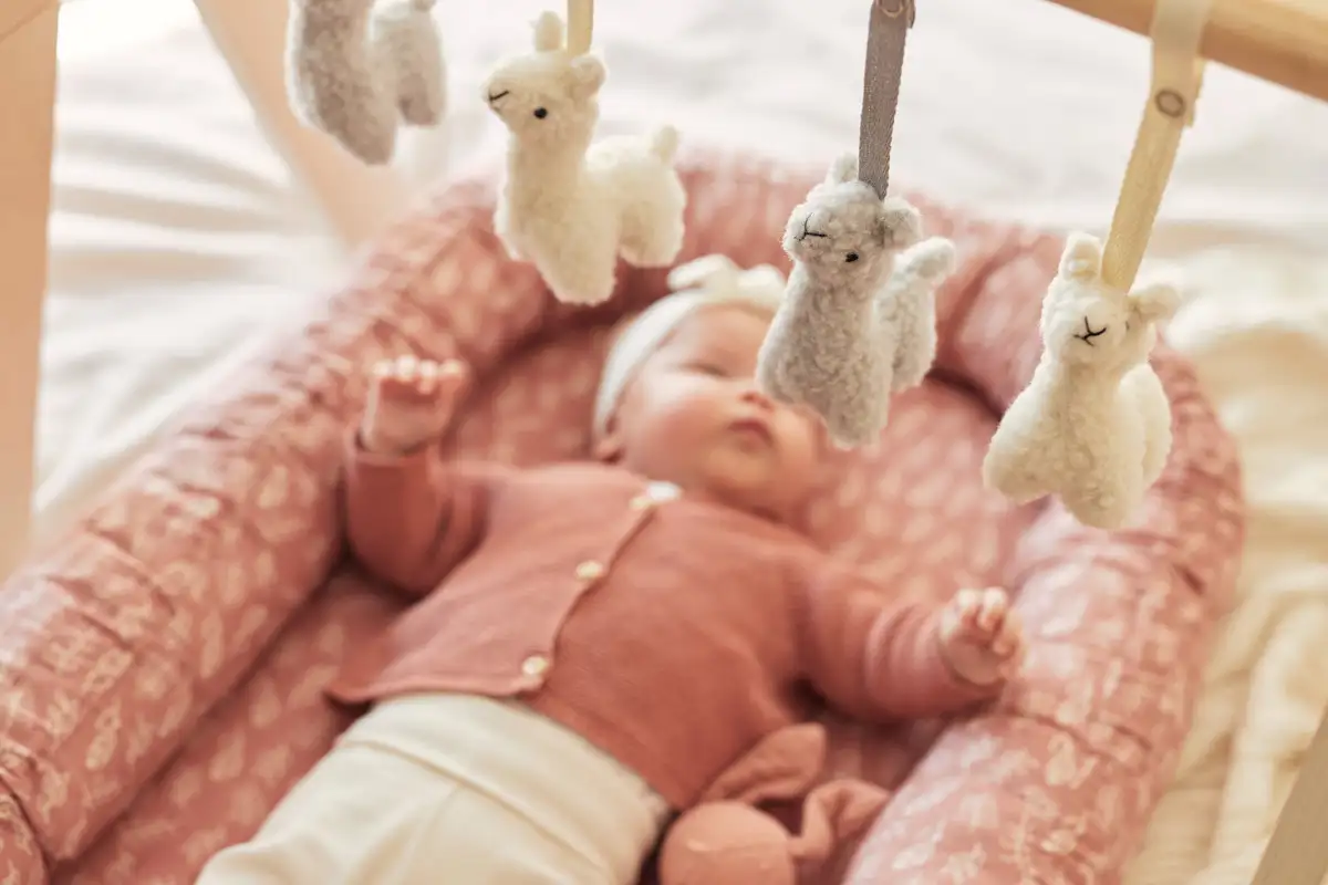 Jouets pour arche - Lama